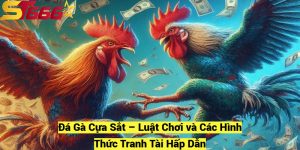 Da Ga Cua Sat – Luat Choi va Cac Hinh Thuc Tranh Tai Hap Dan fotor 20241209181734