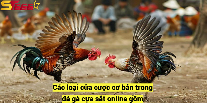 Các loại cửa cược cơ bản trong đá gà cựa sắt online gồm