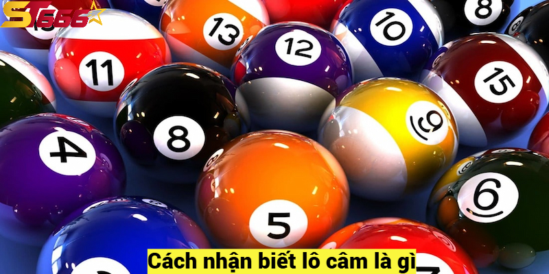 Cách nhận biết lô câm là gì?