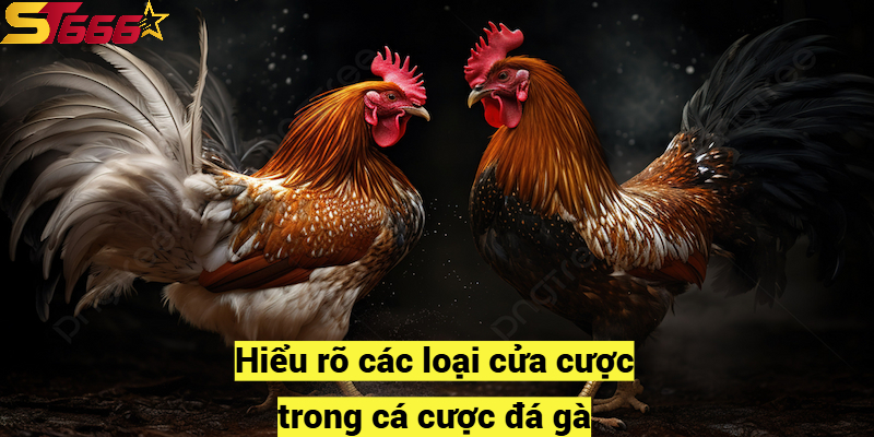 Hiểu rõ các loại cửa cược trong cá cược đá gà