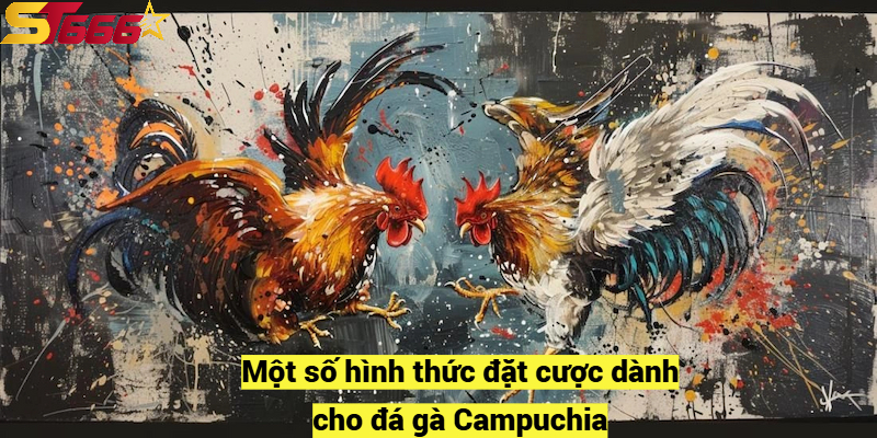 Một số hình thức đặt cược dành cho đá gà Campuchia