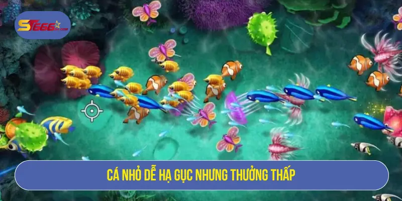 Cá nhỏ dễ hạ gục nhưng thưởng thấp