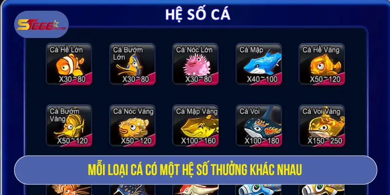 Mỗi loại cá có một hệ số thưởng khác nhau