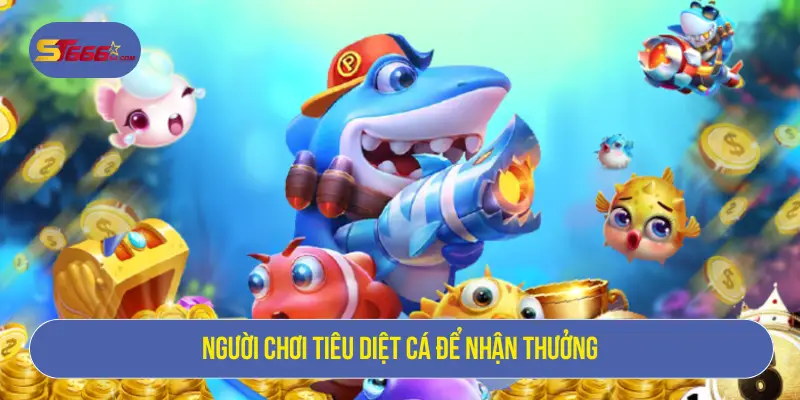 Người chơi tiêu diệt cá để nhận thưởng